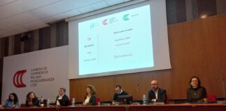 Scuola e ambiente, in Camera di commercio vincono la gara sulla e – mobility la 4B1 dell’ ITI Hensemberger di Monza, la 3iD e 4iD dell’IIS Volta di Lodi.