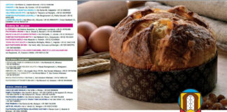 Panettone tipico della tradizione milanese: ecco la mappa con oltre 130 panifici e pasticcerie di Milano, Monza Brianza e Lodi.