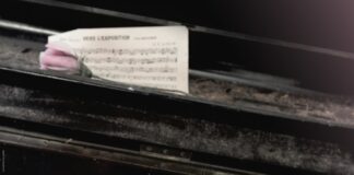 Giornata della Memoria, gli appuntamenti al Conservatorio Verdi.