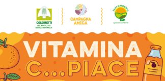 Coldiretti, a Milano arriva il “Vitamina Day” nel mercato agricolo di via De Lemene.