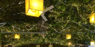 All’Osteria Cavallini un raffinato e confortevole giardino d’inverno.