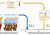Parkinson, nuove prospettive dai farmaci anti diabete.
