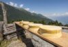 Valtellina Casera e Bitto Dop, crescita in consumo, valore e notorietà.