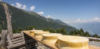 Valtellina Casera e Bitto Dop, crescita in consumo, valore e notorietà.