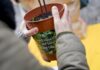 Custodiscimi: aperte le iscrizioni della seconda edizione dell’iniziativa promossa da Forestami, ERSAF e Legambiente Lombardia.