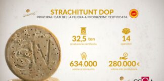 Strachitunt DOP, il formaggio millenario della Val Taleggio conquista i giovani produttori.