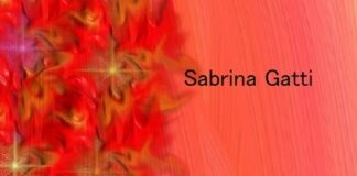 Kawaakari, la raccolta di haiku di Sabrina Gatti.