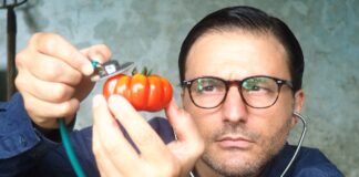 Se ci sei batti un colpo, da venerdì 31 a domenica 2 al Teatro La Cavallerizza.