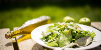 Inclusiva e green: la cucina che guarda al futuro e combatte la disoccupazione.