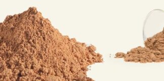 Farina di grilli: un “salto” alimentare da valutare attentamente.