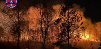 Maxi incendio al parco delle Groane, fiamme fino ai pressi delle abitazioni.