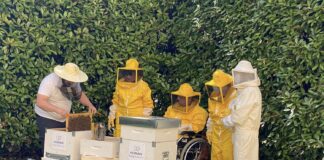 Giornata Internazionale per la Biodiversità: alla Residenza Saccardo Milano arriva Bee Korian, il progetto che unisce anziani, giovani e api.