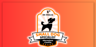Small Dog Specialist, sabato 27 a Rho.