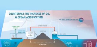 Oceano amiCO2. Sequestro di CO2 in acque marine: motivazione, opportunità e metodi, due giornate di studi.