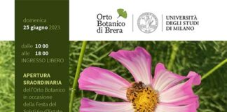 Appuntamenti in Orto e musica da Oriente per festeggiare il Solstizio d’Estate