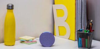 Calciatori, cantanti, clebrità, la Top 10 di Alexa, i più ricercati dall’assistente vocale Amazon