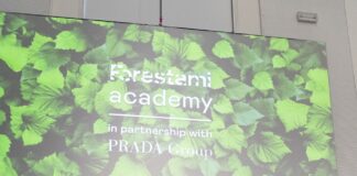 Forestami Academy, il secondo appuntamento: dove sono le foreste urbane?