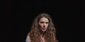 FringeMi Festival, vince Mi manca Van Gogh