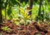 Monticello Spa & Fit insieme a Treedom per l’ambiente.