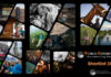 Annunciati i finalisti del World Report Award|Documenting Humanity 2023 al festival della Fotografia Etica di Lodi.