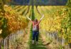 Enoturismo, Italia si conferma leader in Europa