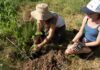 Civica Scuola di Cinema Luchino Visconti e 3Bee insieme per raccontare e promuovere il valore della biodiversità attraverso l’arte visiva
