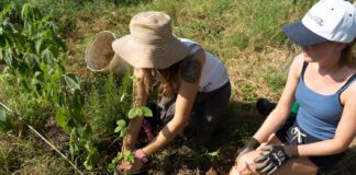 Civica Scuola di Cinema Luchino Visconti e 3Bee insieme per raccontare e promuovere il valore della biodiversità attraverso l’arte visiva