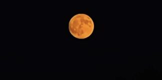 Superluna del cervo, le foto