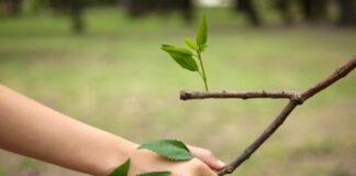 A settembre si conclude il progetto Educhiamo al futuro sostenuto da Slow Food Lombardia e Slow Food Cremonese su bando di Fondazione Cariplo