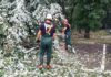 Nubifragio in Lombardia: gravissimi danni alle aziende agricole
