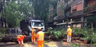 Maltempo, temporale nella notte, esonda il Seveso, caduto albero in via Fabio Filzi