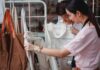 Moda sostenibile: (finalmente) ci siamo?
