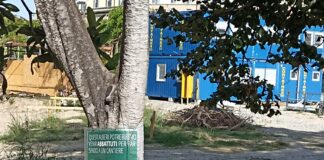 Piazzale Baiamonti, aperto il cantiere del Museo della Resistenza. Protestano i comitati: il Comune dice di essere ambientalista e poi taglia gli alberi