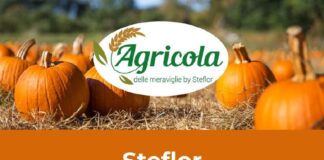 Agricola delle Meraviglie e Campo delle zucche, due esperienze Steflor