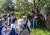 Forestami: Gruppo Prada annuncia supporto per ripristino Parco Nord Milano