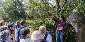 Forestami: Gruppo Prada annuncia supporto per ripristino Parco Nord Milano