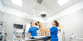 Arcaplanet acquisisce ospedali veterinari a Milano, Curno e Verano Brianza