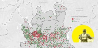 Pfas nelle acque potabili, l’esposto di Greenpeace