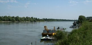 Rinaturazione del Fiume Po e fondi PNRR: è ora di investire sulla Natura