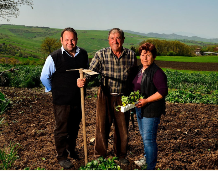 masseria roberti prodotti da agricoltura biologica