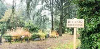 Autunno al Vivaio Bicocca: dall’evento con Plastic Free a BioMonitoring – MIB