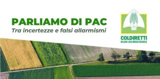 Agricoltura, la PAC tra incertezze e falsi allarmismi: Coldiretti incontra gli imprenditori sul territorio, primo appuntamento giovedì 9 a Busto Garolfo