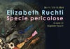 Elizabeth Ruchti Specie pericolose, da giovedì 30 al Made4Art
