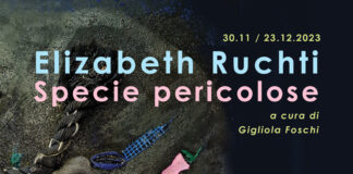 Elizabeth Ruchti Specie pericolose, da giovedì 30 al Made4Art