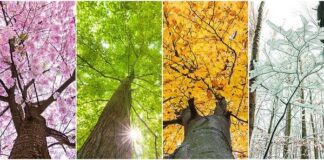 Cambio di stagione: quali effetti sull’organismo