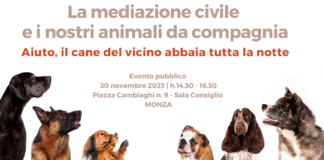 La mediazione civile e gli animali da compagnia, arriva la presentazione della Camera Arbitrale il 30 novembre a Monza