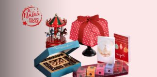Le iniziative di VIDAS per un Natale solidale