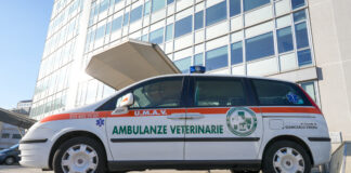 Amici a quattro zampe, accordo tra Enpa e Miav per interventi e ricoveri a prezzi calmierati