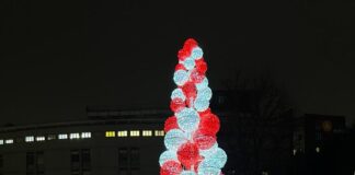 Acceso l’Albero di Natale al San Raffaele