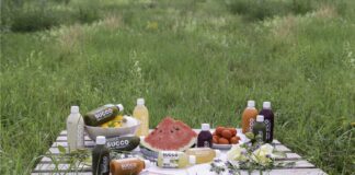 La milanese Babasucco, il brand di cibi e bevande per la salute psicofisica, lancia su Mamacrowd la campagna “equity4longevity”